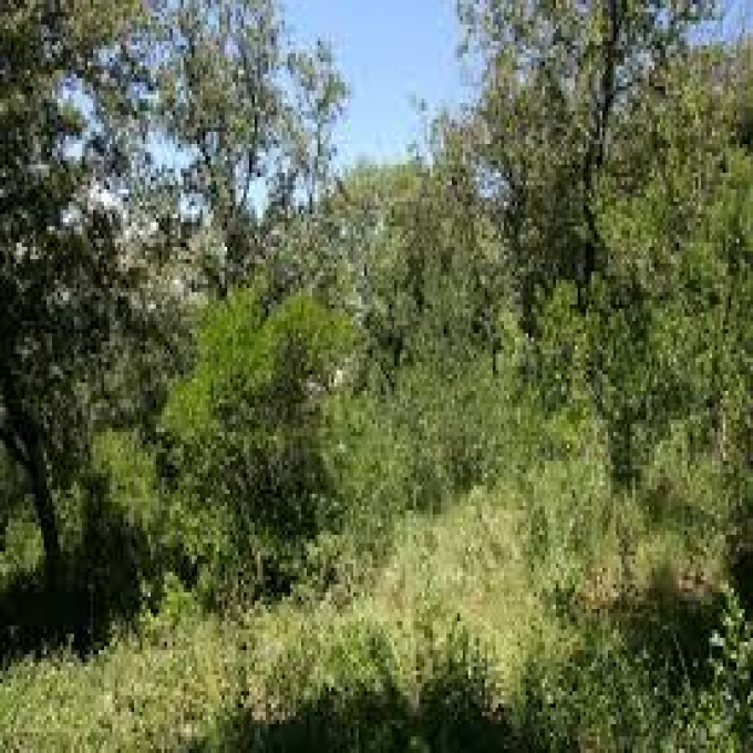 Offres de vente Terrain La Ferté-sous-Jouarre (77260)