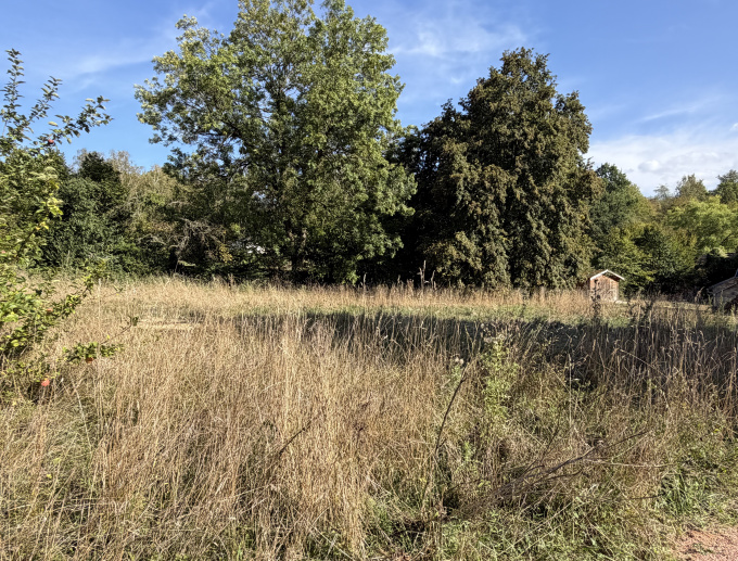 Offres de vente Terrain à batir Villers-Cotterêts (02600)