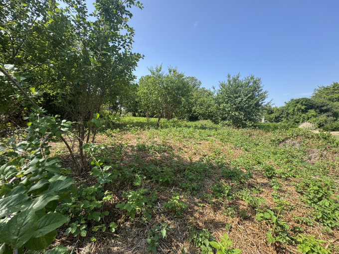 Offres de vente Terrain à batir Neuilly-Saint-Front (02470)