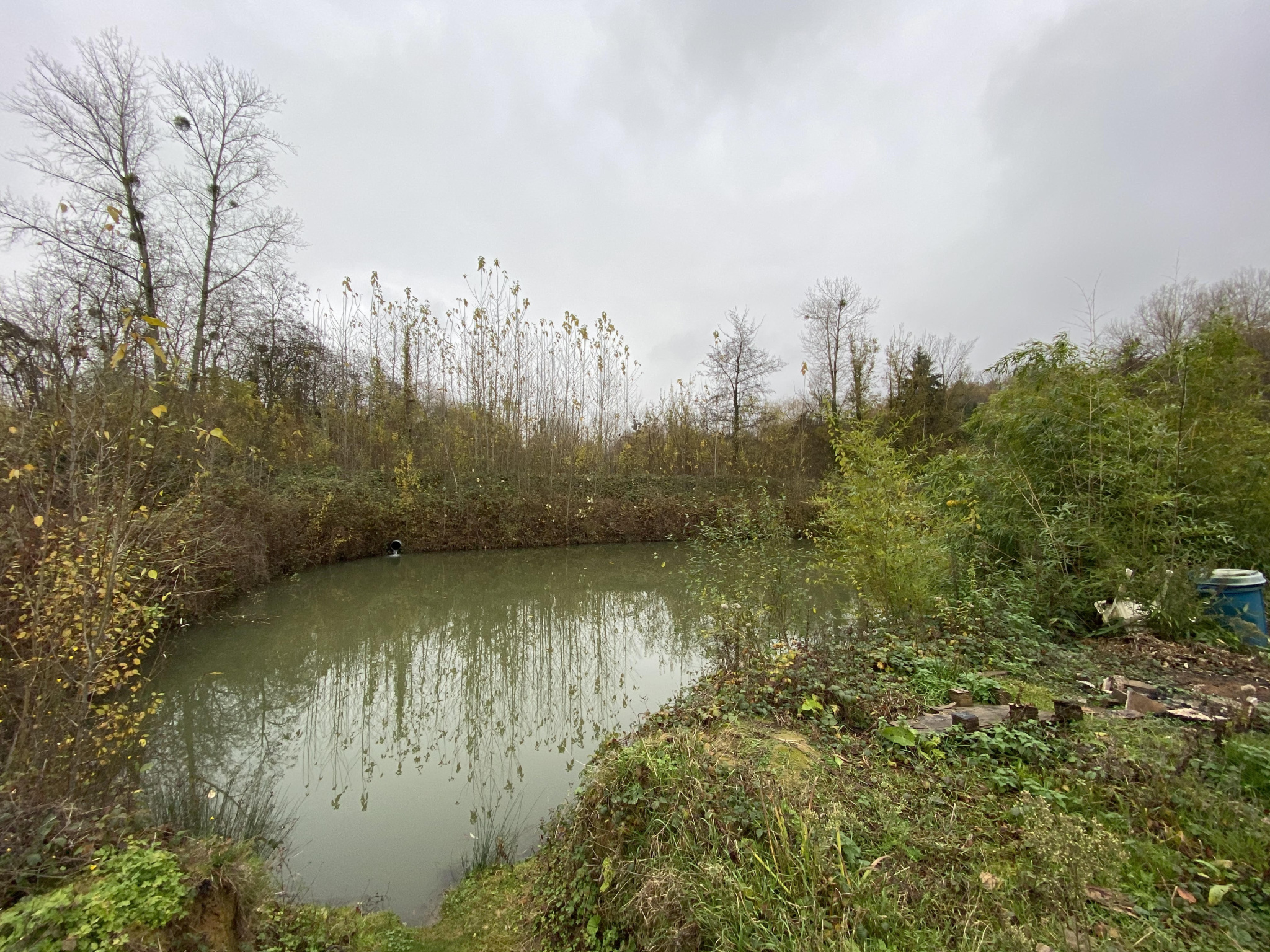 Vente BEL ETANG vente-bel-etang
