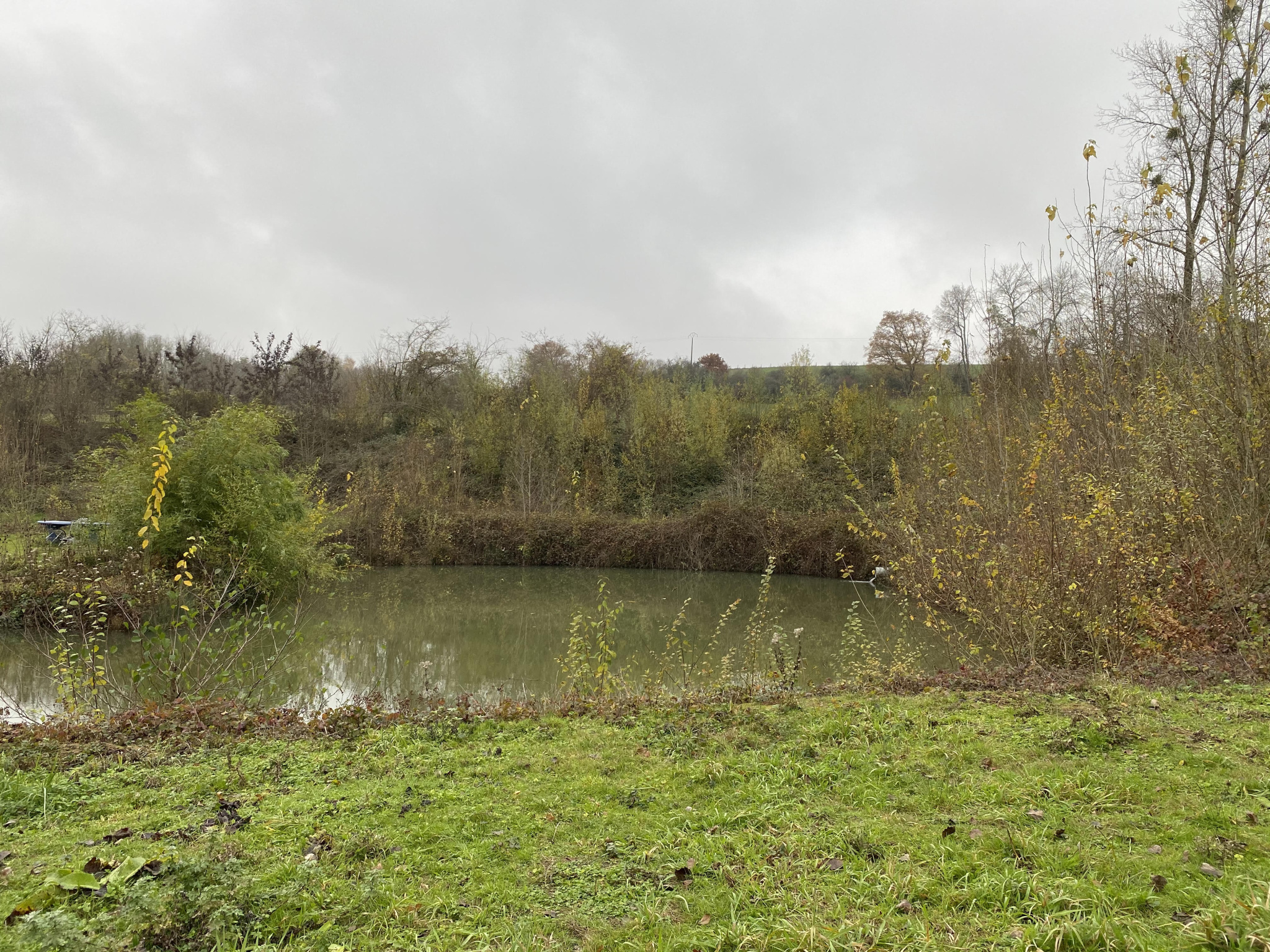 Vente BEL ETANG vente-bel-etang