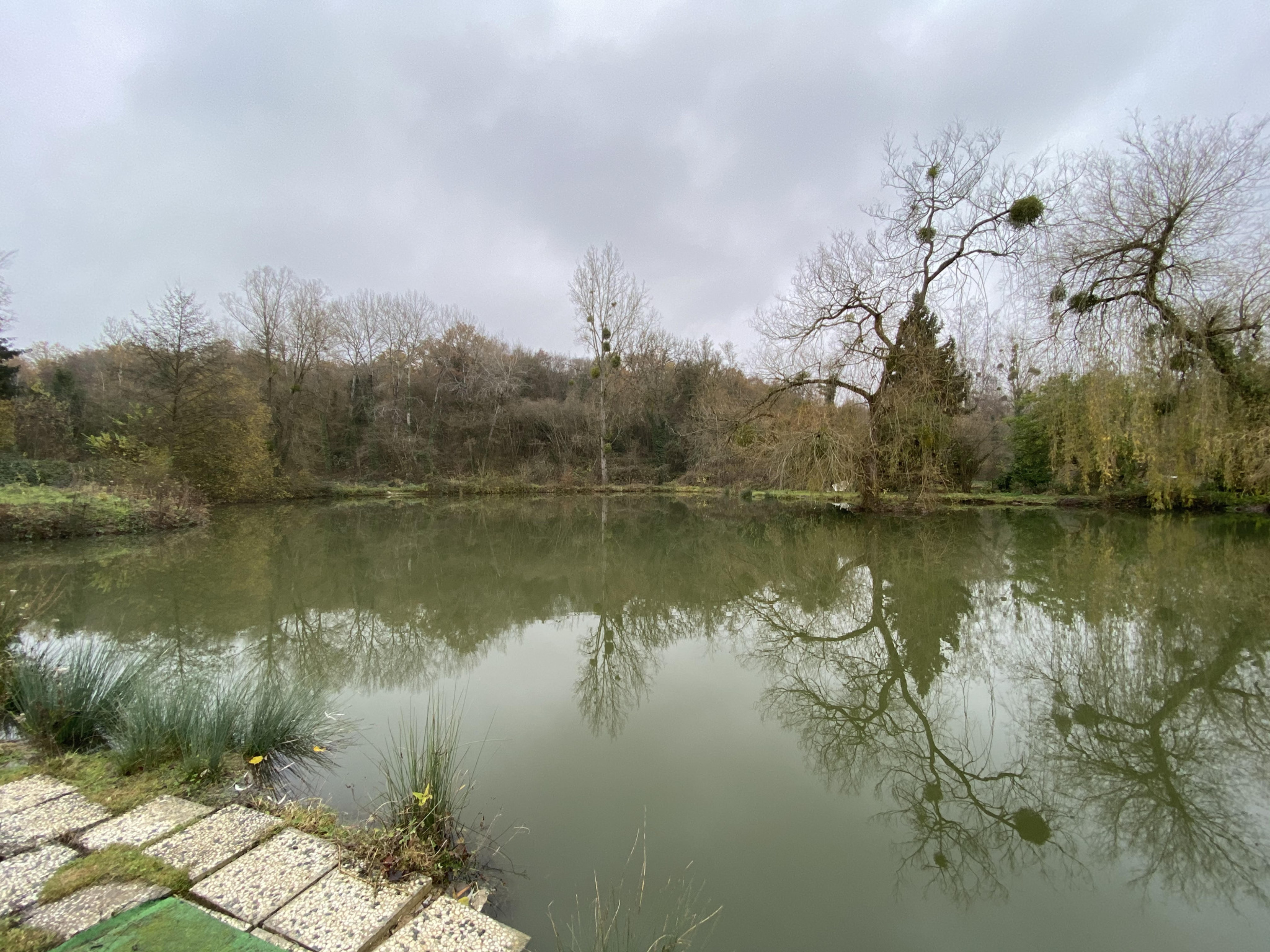 Vente BEL ETANG vente-bel-etang